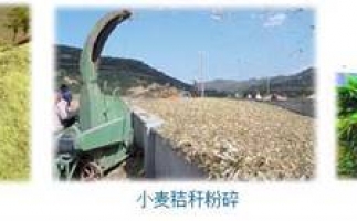 農(nóng)民科學(xué)發(fā)展新思路，秸稈綜合利用成為賺錢好門路之秸稈顆粒機(jī)