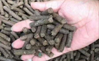 水果渣越來越受歡迎，因為它的出現(xiàn)—生物質(zhì)顆粒機設(shè)備