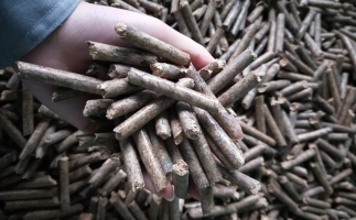 鋸末顆粒機(jī)顆粒，一種快速增長的能源載體