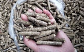 鋸末顆粒機(jī)木屑顆粒燃料市場前景如何？