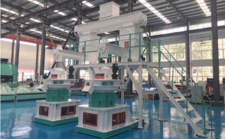 木屑顆粒機多少錢一臺?建顆粒廠大約多少錢？