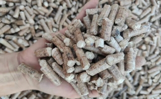 木材加工廠木屑堆積如山，環(huán)保部門令趕緊處理怎么辦？有它就夠了